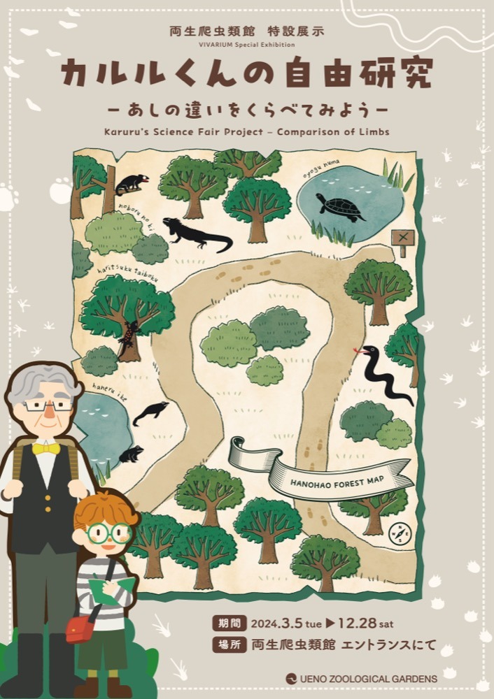 カルルくんの自由研究ポスター