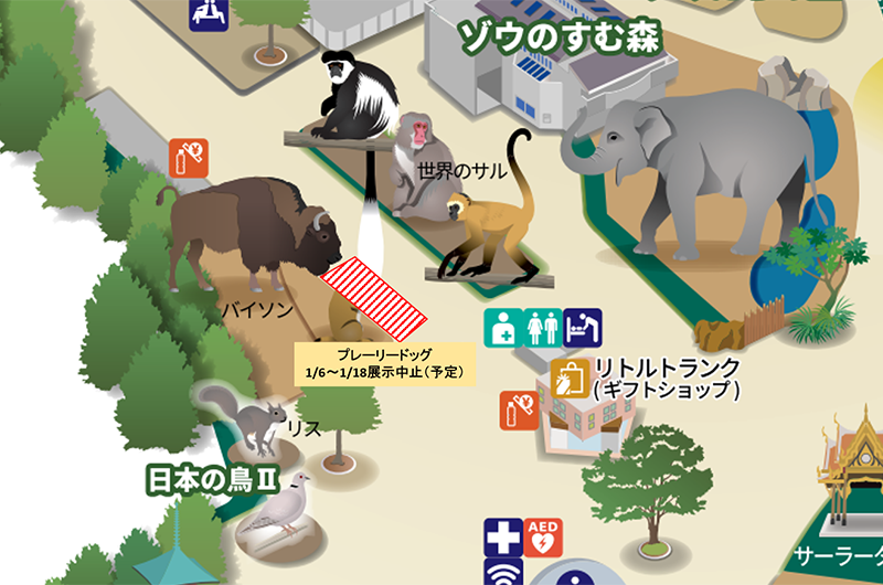 工事および園路縮小エリア