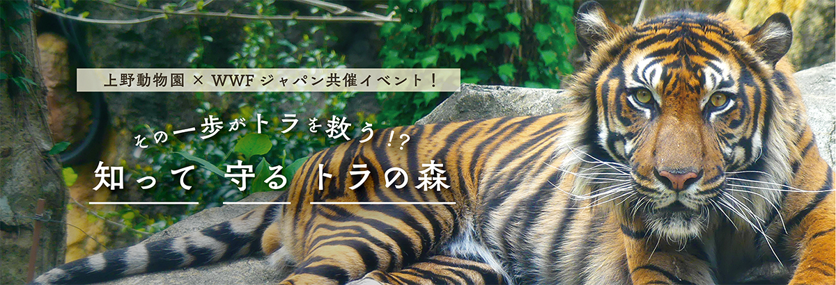 世界トラの日企画　メインビジュアル