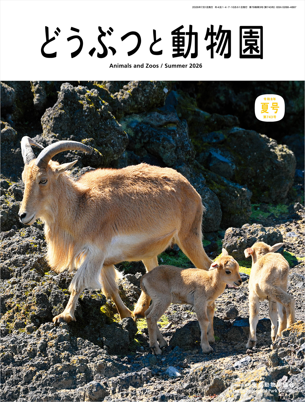雑誌表紙。上部に雑誌タイトル「どうぶつと動物園」。その下に、バーバリーシープの大人が1頭と子どもが2頭いる