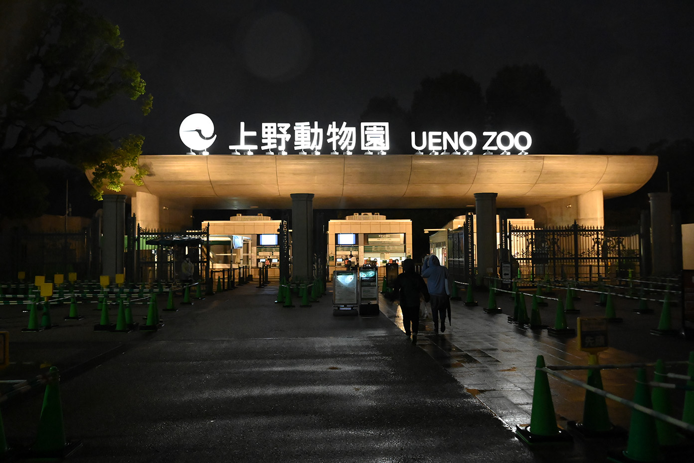 夜 の 動物園 上野
