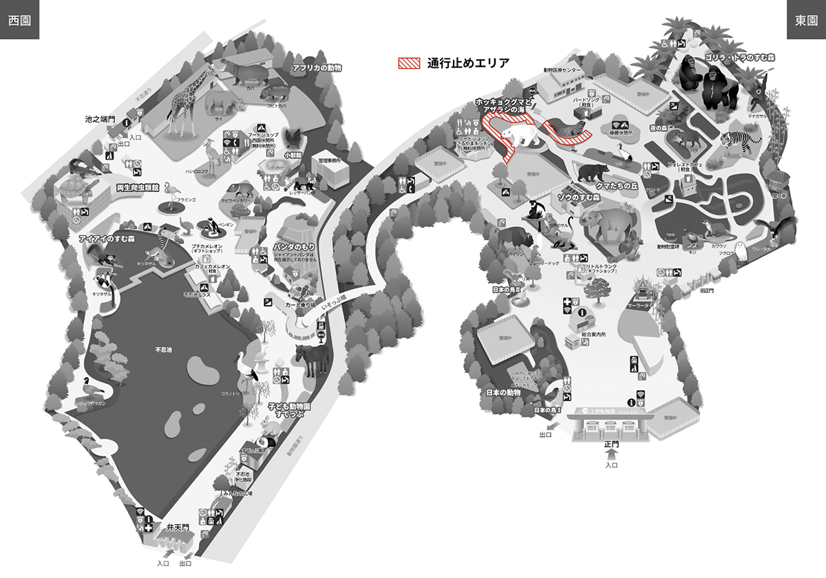 通行止めエリア
