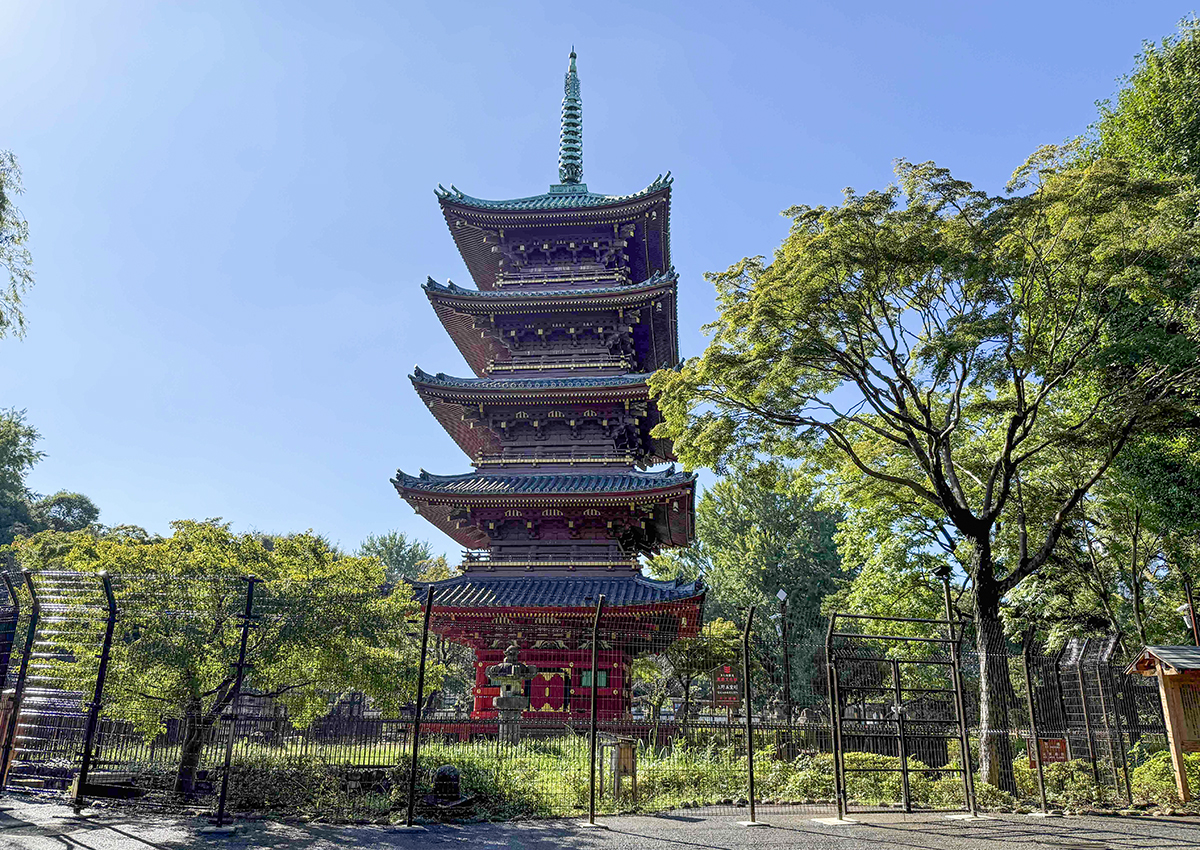 上野動物園園内側