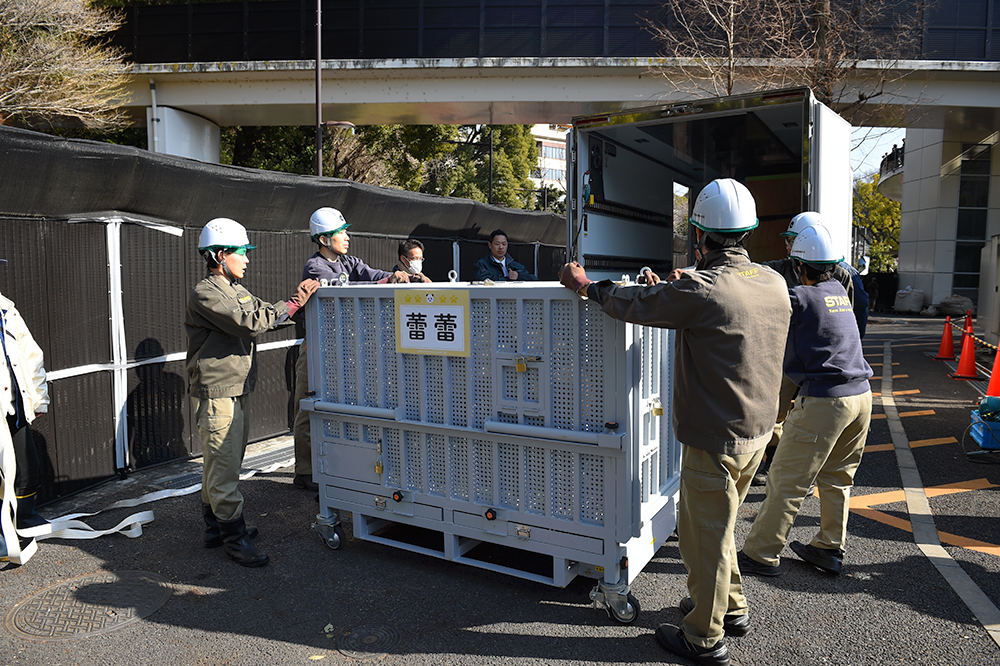 輸送箱で移動。レイレイ