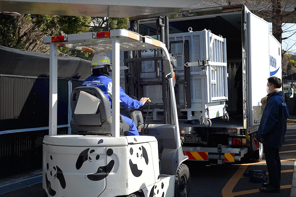 2頭をトラックに積み込む。シャオシャオ