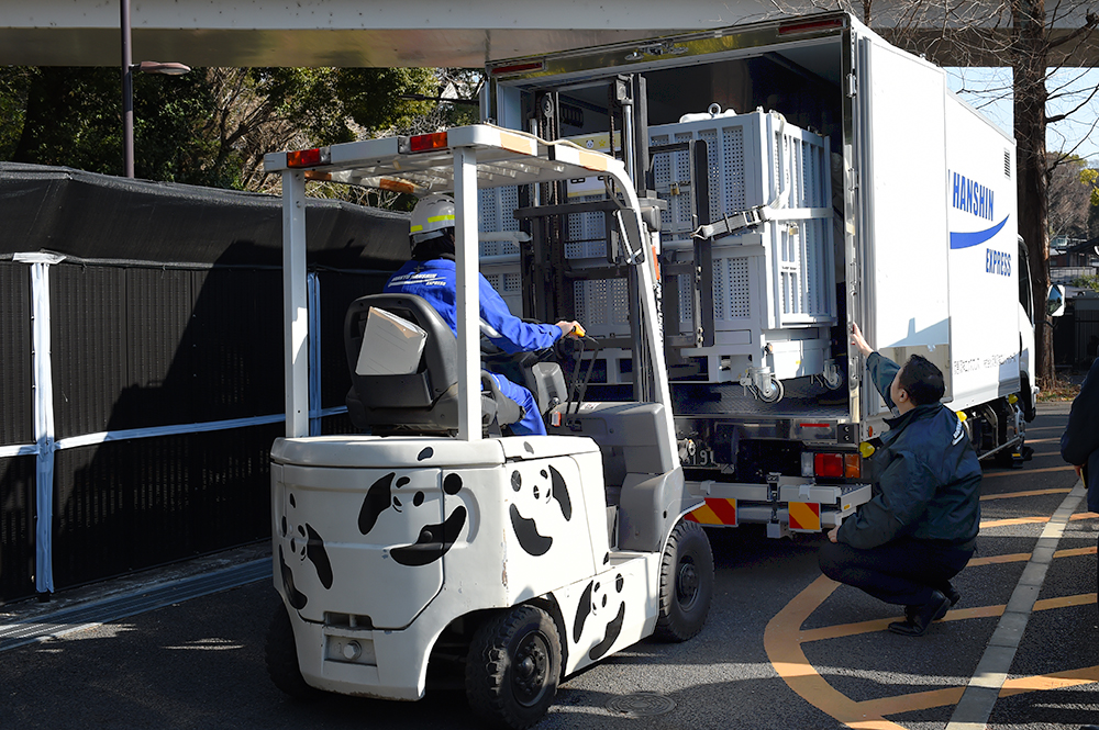 2頭をトラックに積み込む。レイレイ