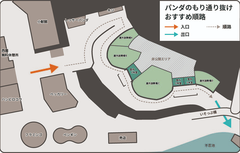 パンダのもり　通り抜けおすすめ順路