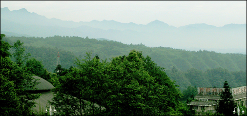 パンダが生息する四川省の山