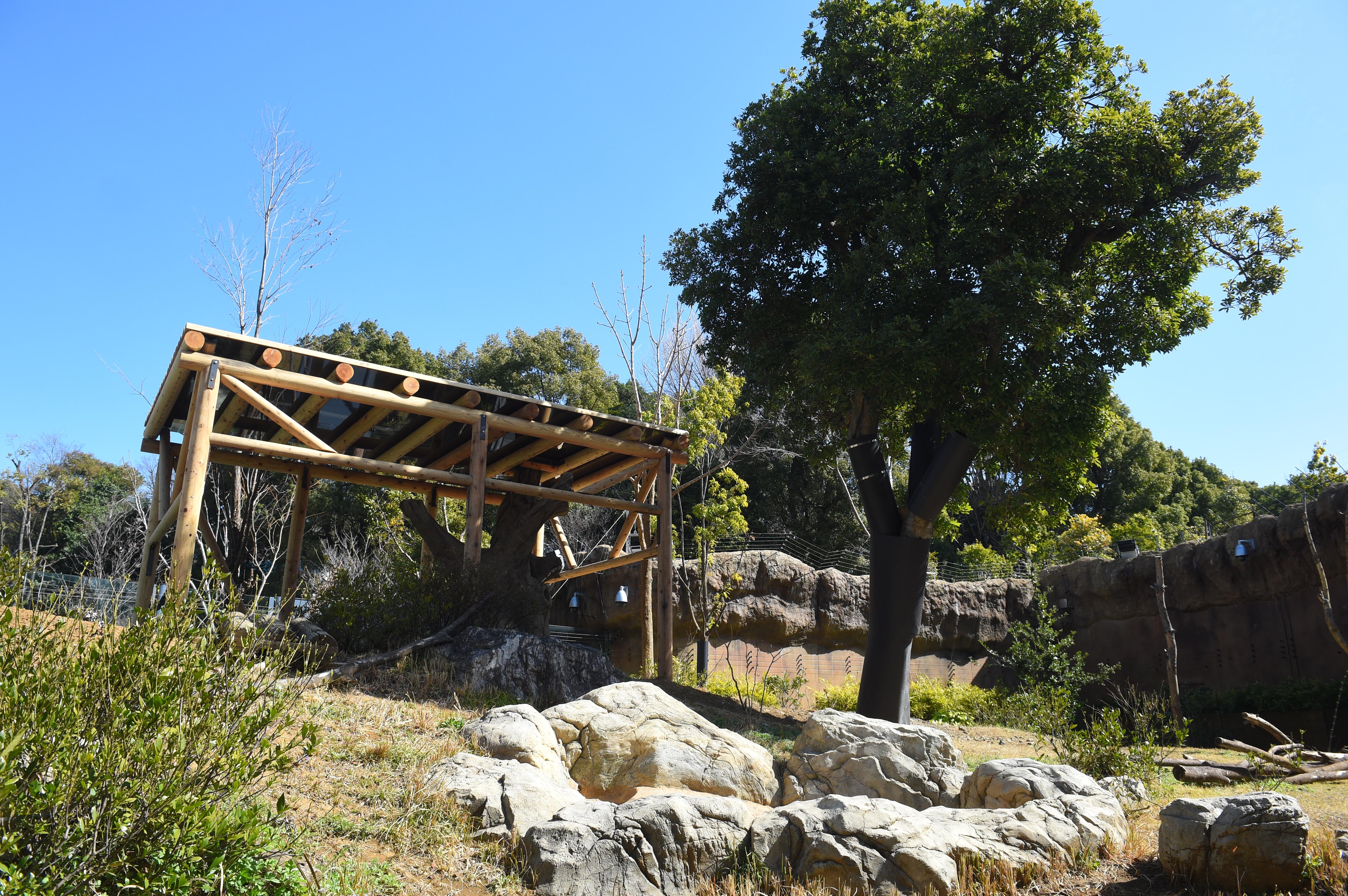 屋外放飼場 A・B