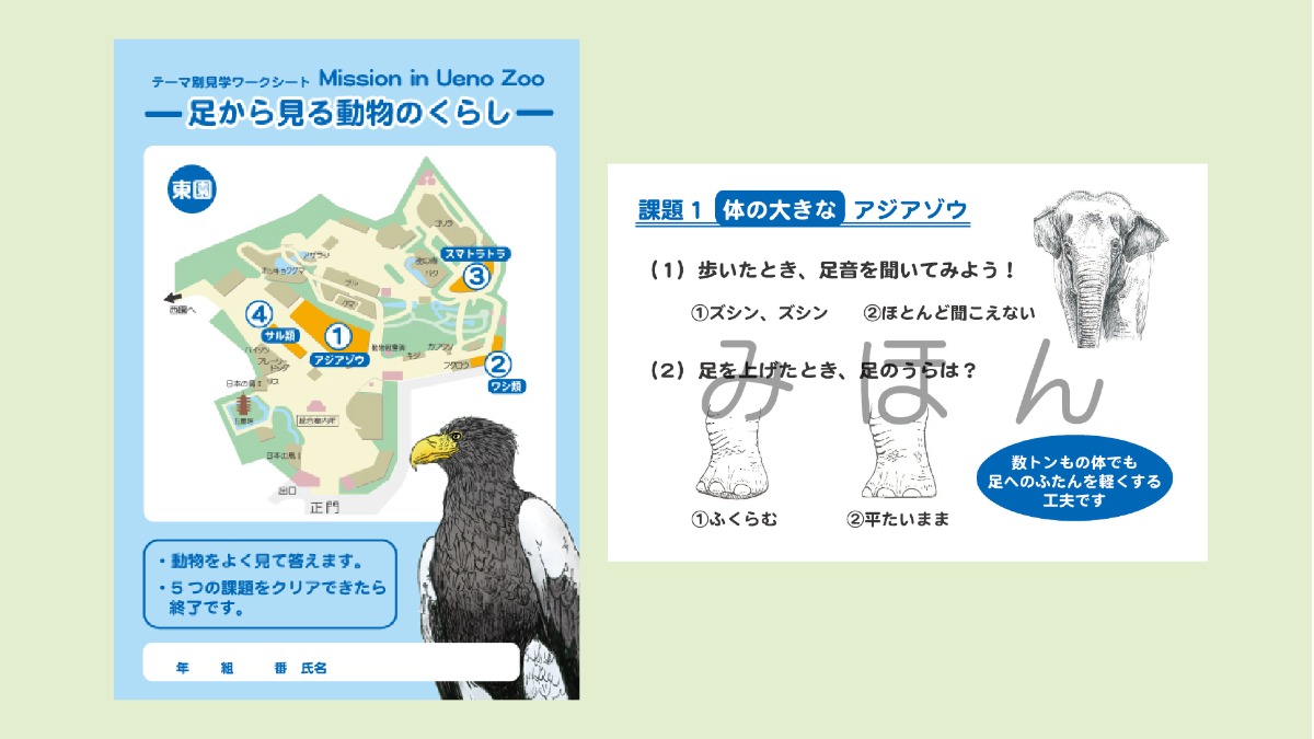 クイズテキスト