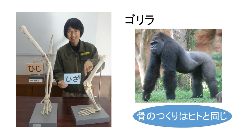 足のオンライン授業