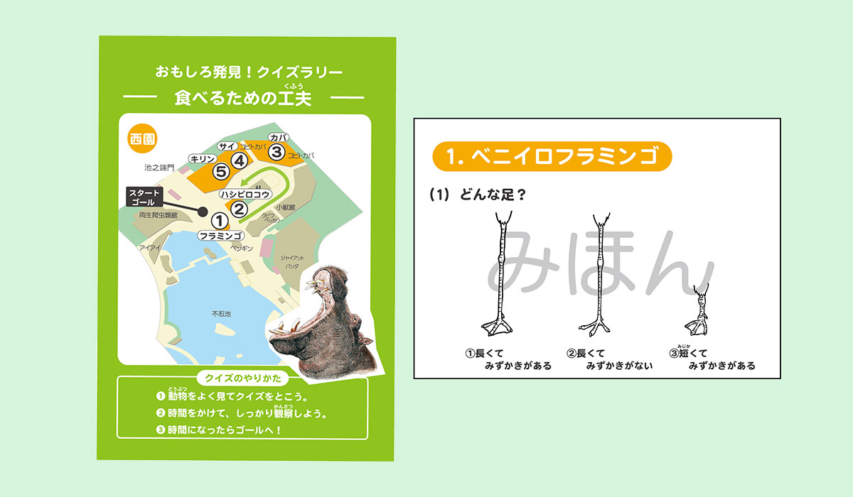 クイズテキスト