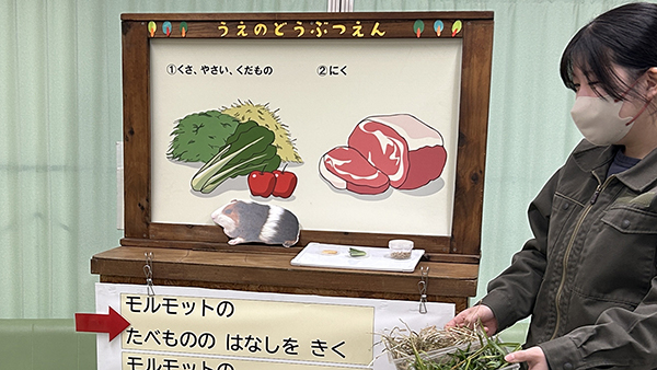 すてっぷの特別支援学校・学級向けプログラム