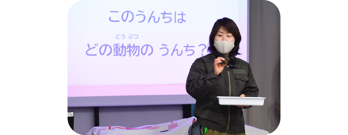 動物たちのおとしもの