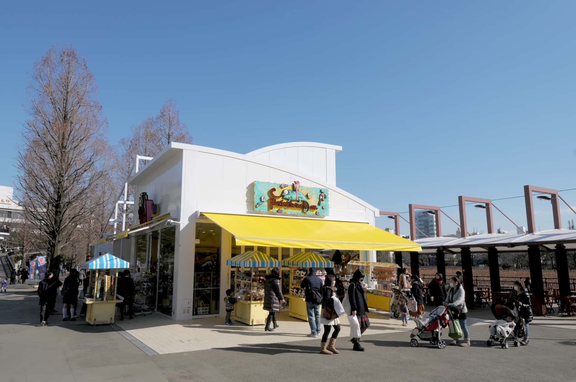 プチカメレオン