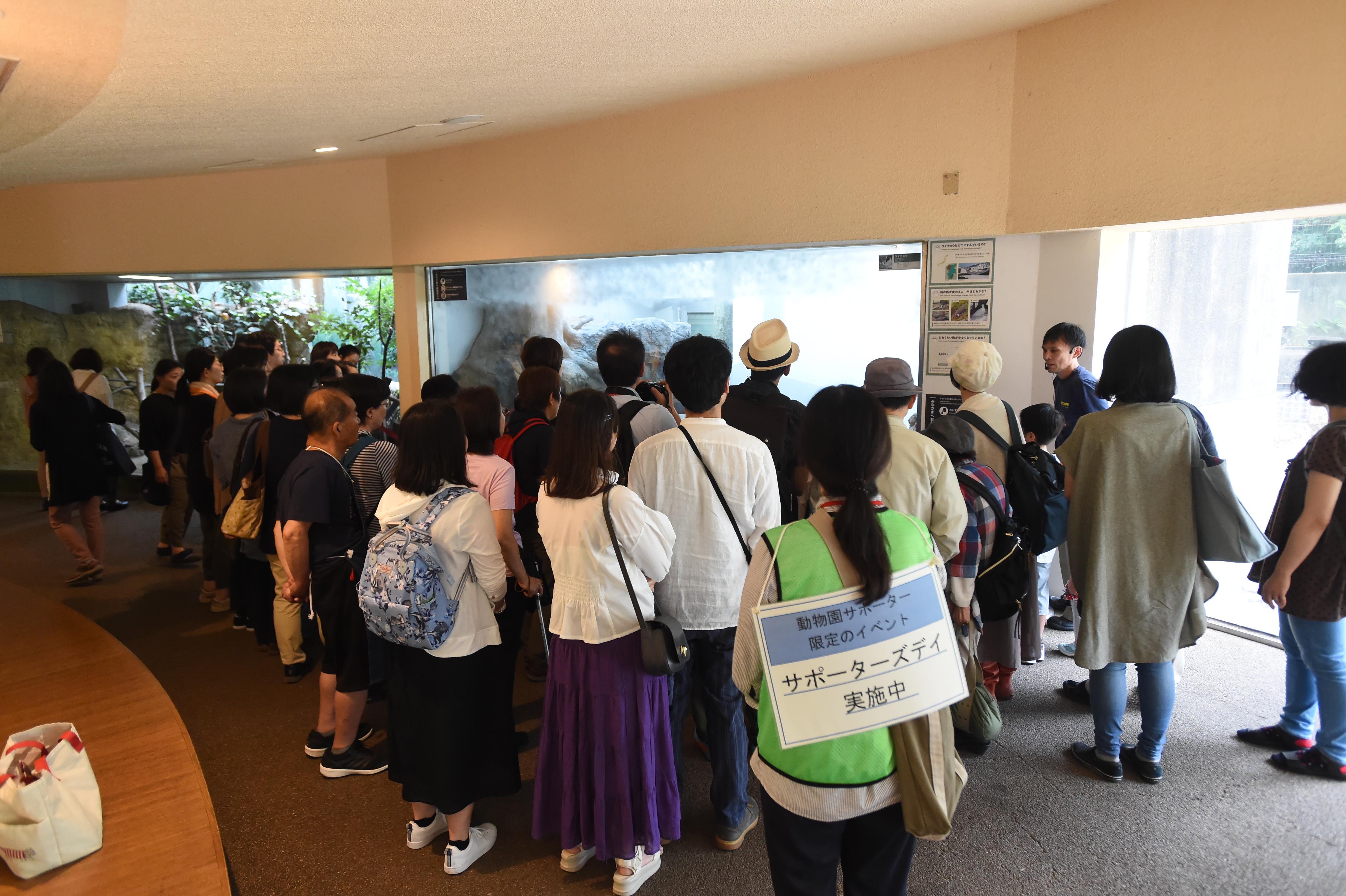 日本の鳥の見学