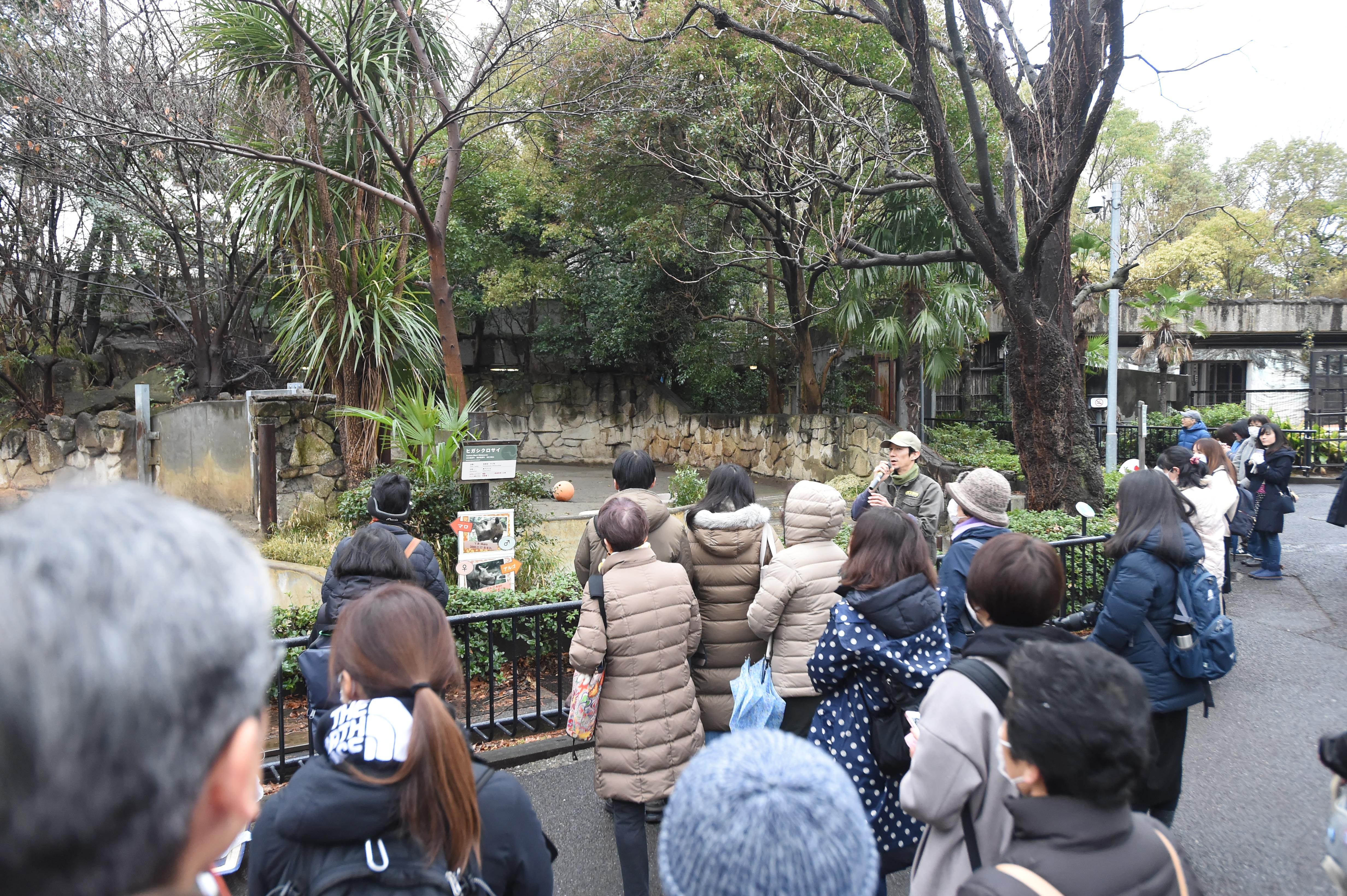飼育担当者によるサイの解説