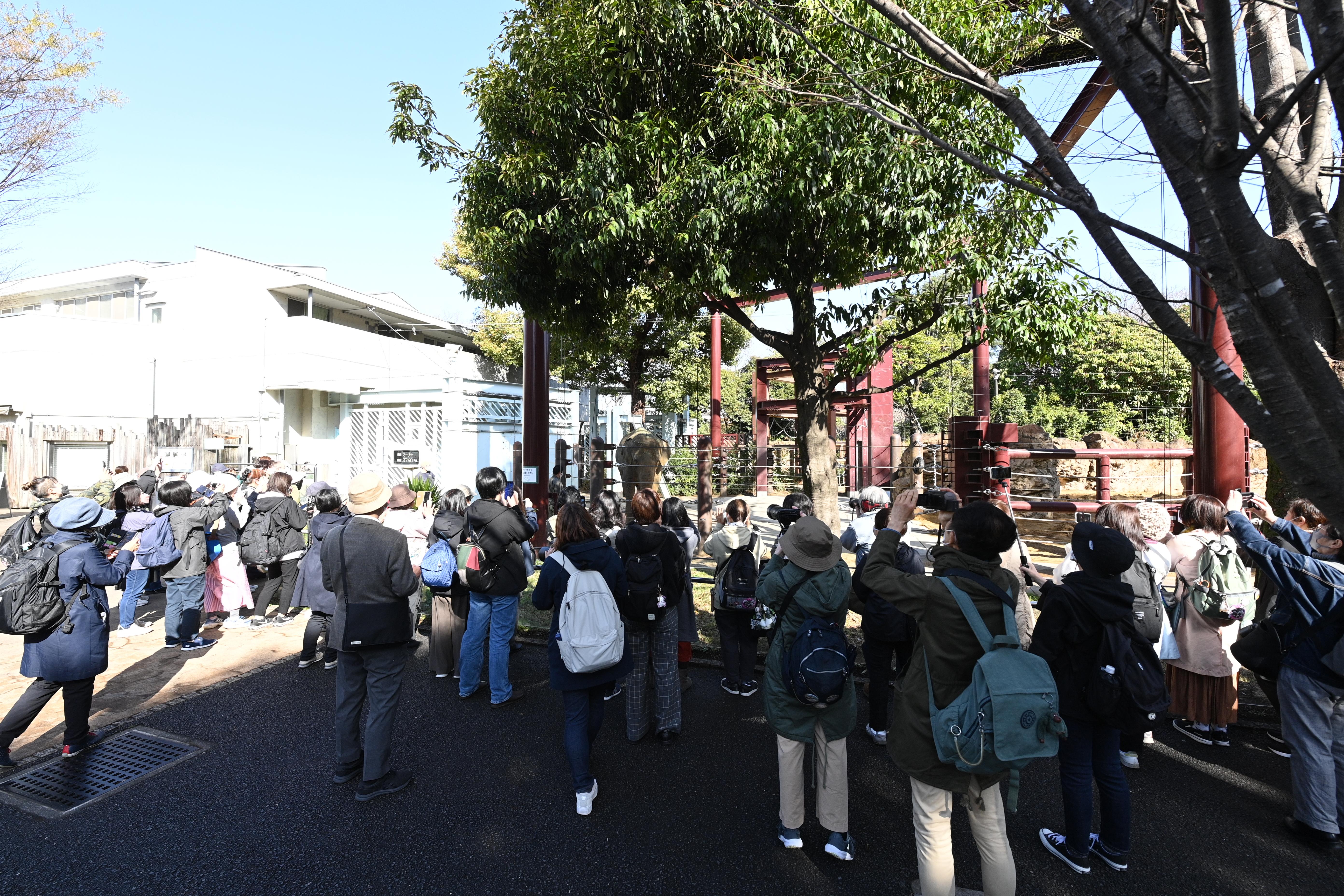 東園モーニングズー