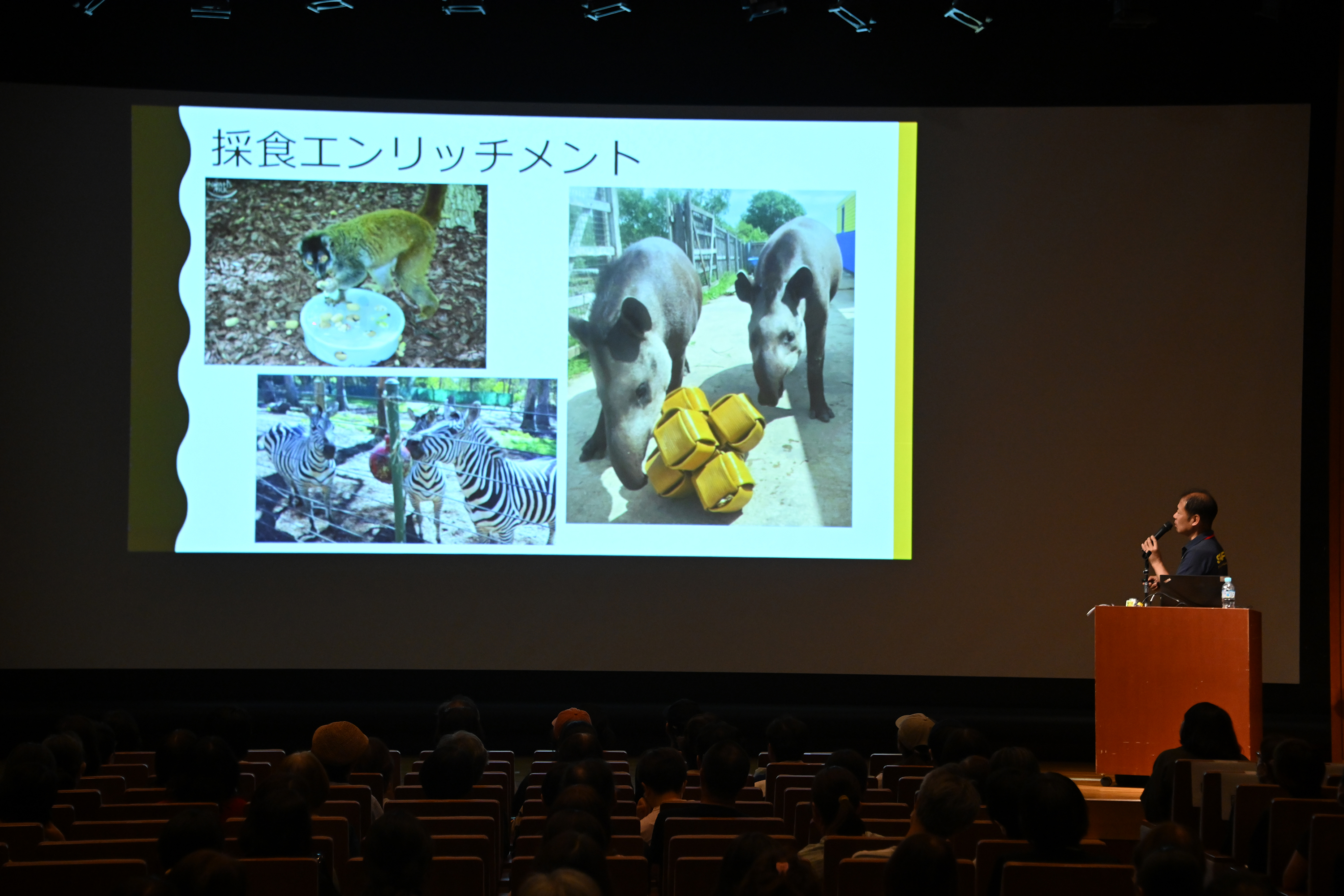 Lecture: "Thinking about the happy lives of animals - What environmental enrichment can do"