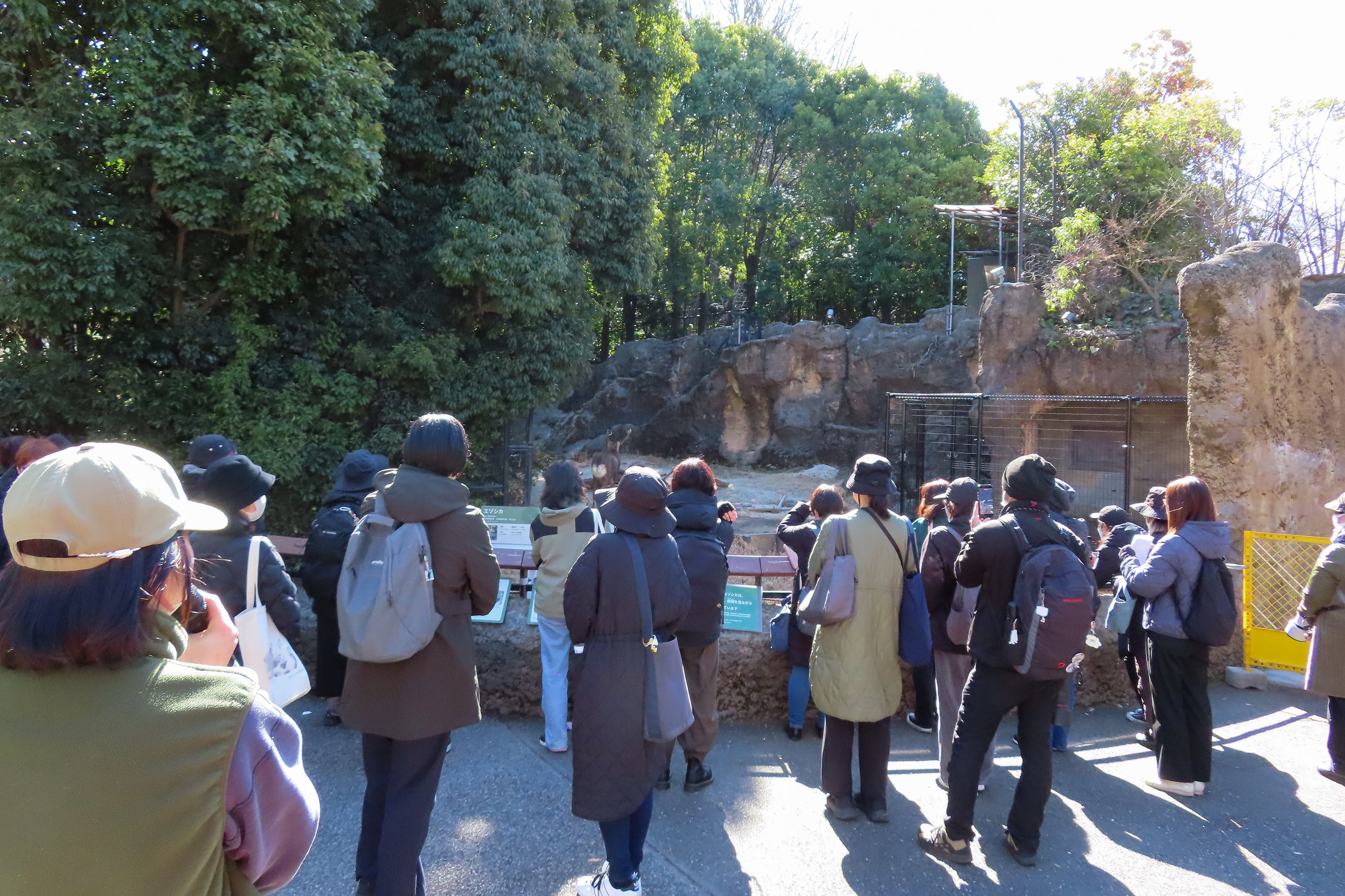 East Garden Morning Zoo