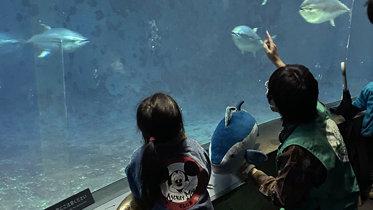 マグロボランティアのようす