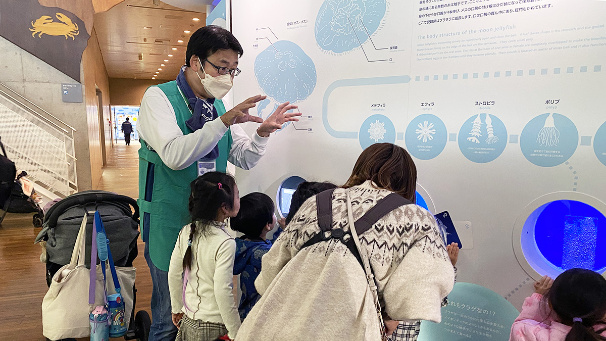 東京の海ボランティアのようす