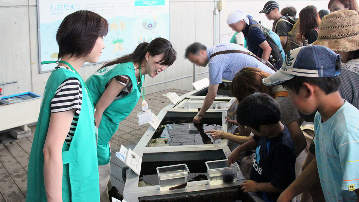 しおだまりボランティアのようす