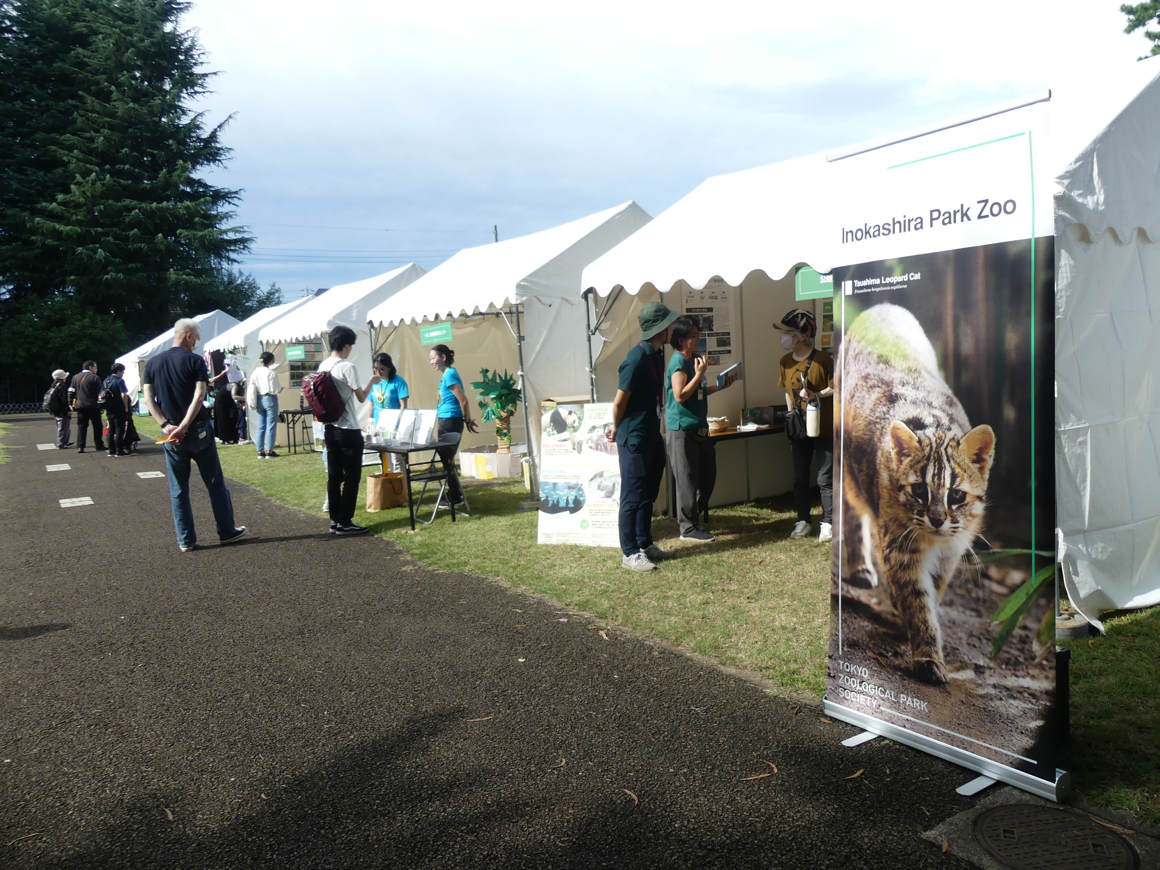 ヤマネコまつり