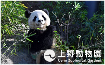 上野動物園