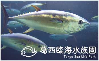 葛西臨海水族園