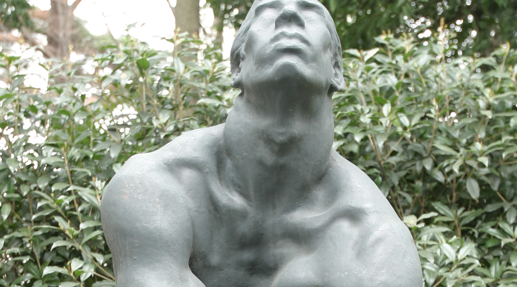 無限　夏の星座