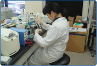 メダカのDNA分析の様子