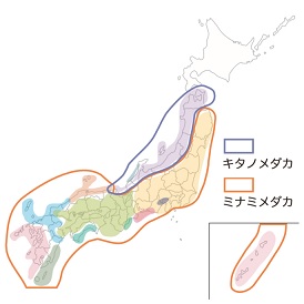 メダカMAP