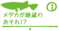 東京にまだメダカはすんでいるの？