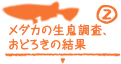 絶滅寸前!?「東京めだか」