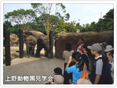 上野動物園見学会