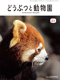 雑誌 「どうぶつと動物園」バックナンバー（2015〜2019年） ｜ 東京 