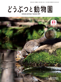 雑誌 「どうぶつと動物園」バックナンバー（2015〜2019年） ｜ 東京 