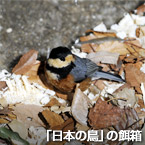 「日本の鳥」の餌箱