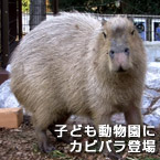 子ども動物園にカピバラ登場