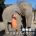 動物園のクリスマスイベント