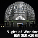 Night of Wonder葛西臨海水族園