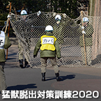 猛獣脱出対策訓練2020