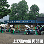 上野動物園再開園
