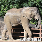 砥夢の休園日