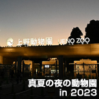 真夏の夜の動物園 in 2023