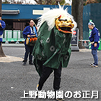 上野動物園のお正月
