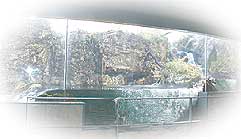 �W������2