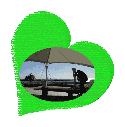 �J�����Ɩڂ���������