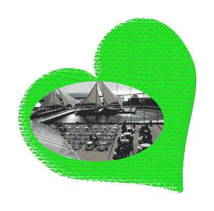 ���b�g�̐��̂ł��B